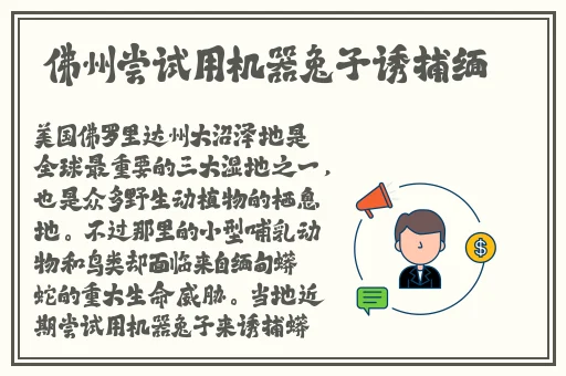 张津瑜玻璃窗在线播放